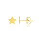 14k Yellow Gold Post Earrings with Stars(6.5mm) RCJ