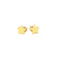 14k Yellow Gold Post Earrings with Stars(6.5mm) RCJ