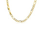 10k Yellow Gold Lite Figaro Chain (4.70 mm)Monde Trend