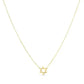 14k Yellow Gold Star of David Necklace RCJ