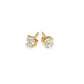 14k Yellow Gold Stud Earrings with White Hue Faceted Cubic Zirconia(3mm) RCJ