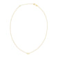 14K Yellow Gold Aquarius Necklace RCJ