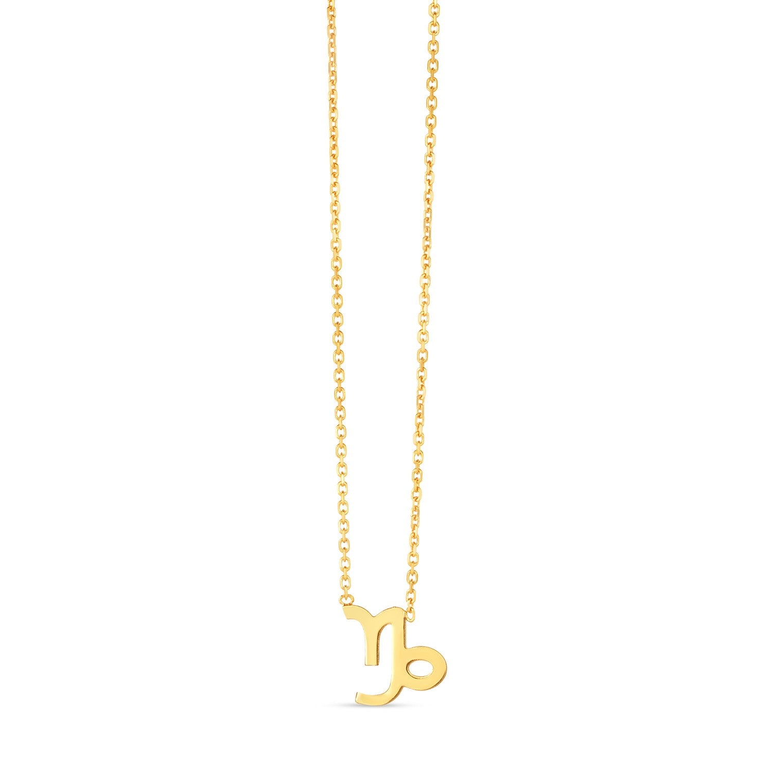 14K Yellow Gold Capricorn Necklace RCJ