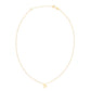 14K Yellow Gold Capricorn Necklace RCJ