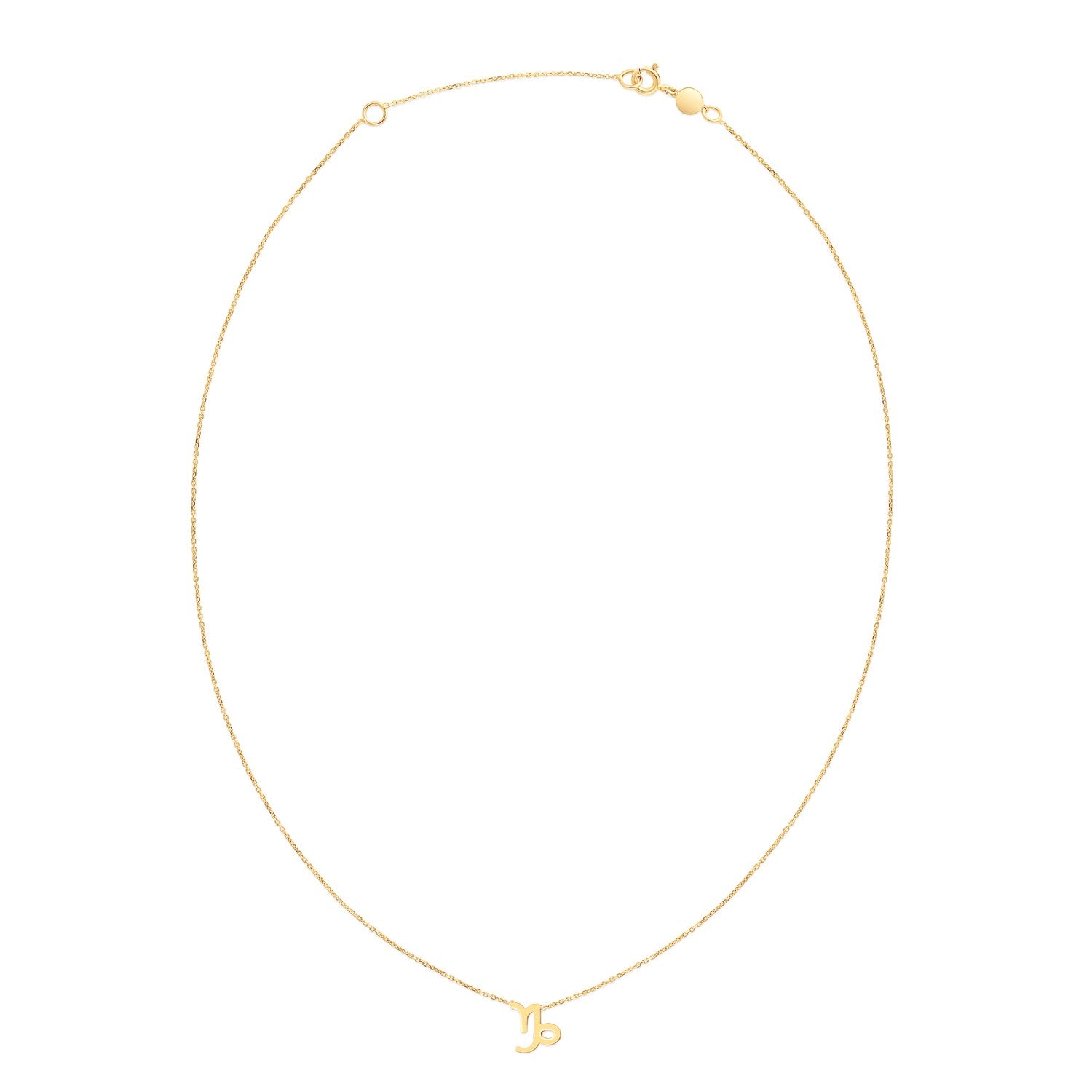 14K Yellow Gold Capricorn Necklace RCJ